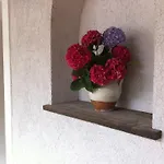 Nonna Leni - &