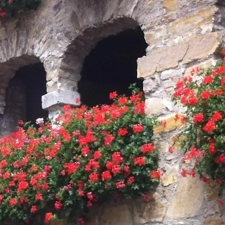 Nonna Leni - & 3* Frisanco