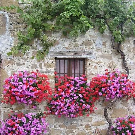 Nonna Leni - Rooms & Apartments 3* Frisanco
